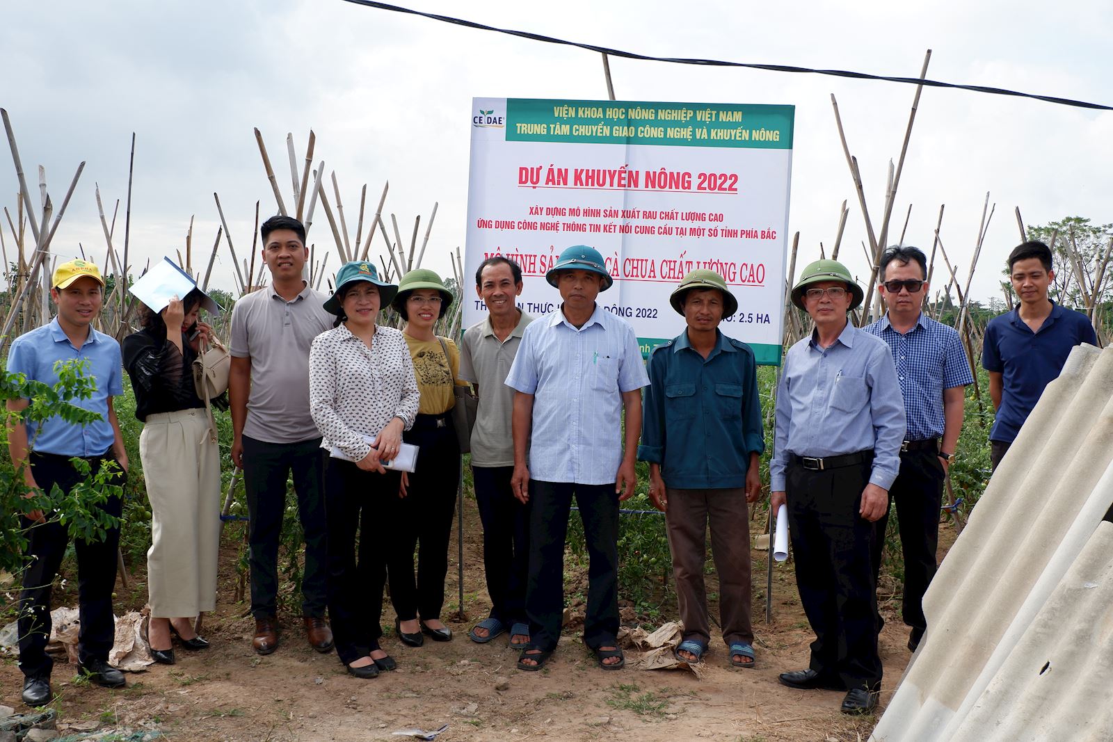 Mô hình sản xuất cà chua